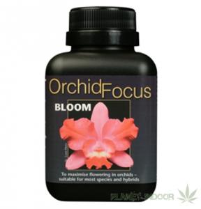 Orchid Focus Bloom 500ml