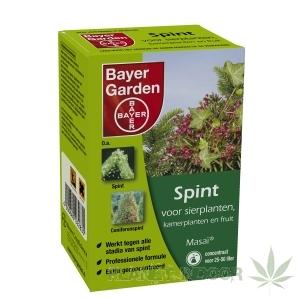 Bayer Spint 10g
