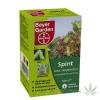 Bayer spint 10g