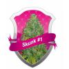 Skunk #1 5 buc