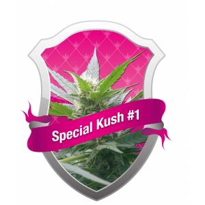 Special Kush #1 3 buc