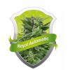 Royal automatic 3 buc