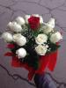 Buchet 15 trandafiri oferiti de un gentleman - timisoara