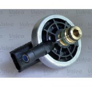 Injector RENAULT MEGANE II  BM0 1  CM0 1  PRODUCATOR VALEO 348008