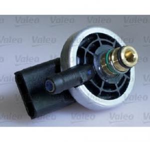 Injector RENAULT KANGOO Rapid  FC0 1  PRODUCATOR VALEO 348010