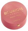 Blush Litle Round Pout Bourjois - 02 Rose D'Or