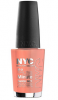 Lac pt unghii new york color in a minute quick dry -
