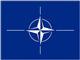 Drapel LUX de interior si exterior, NATO