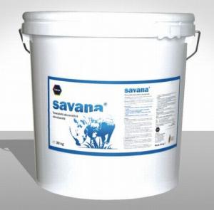 Savana decore