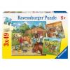 Puzzle lumea cailor , 3x49 piese