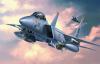 Macheta avion f-15e strike eagle -
