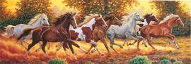 PUZZLE 1000 PIESE PANORAMIC - CAI IN GALOP - 31300