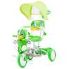 Tricicleta cu copertina Chipolino Duck green