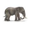 Figurina animal elefant african, femela