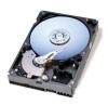 Hard disk western digital ide 250gb