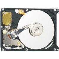 Hard Disk 250 GB, WD Scorpio Black (pt. notebook) 2,5