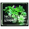 Kingston 16GB Elite Pro CompactFlash Card 133x (Single Level Cell)