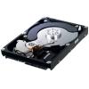 Hard Disk 500 GB Samsung, Serial ATA2, 7200rpm, 16MB, SpinPoint F3