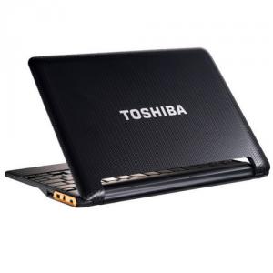 Notebook Toshiba  Cloud Companion AC100-10D, Eclipse Black