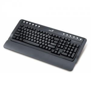 Tastatura Genius KB-220 Black, 12 Hotkeys, Palmrest, US