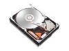 Hard disk seagate 120 gb udma 100