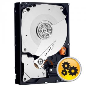 Hard Disk 250 GB WD RE3, Serial ATA2, 7200 rpm, 16MB, Enterpris