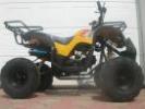 Promotie: ATV 125 ccm Grizly automatic cu marsalier. LIVRAREA GRATUITA IN TOATA TARA