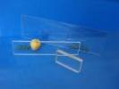 Promotie: Placi plexiglas 5 mm