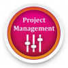 Promotie: Simulare Project Management