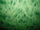 Promotie: Linoleum Fantasy clover green